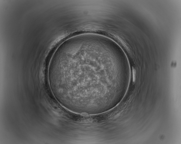 X0000102010675200807251309