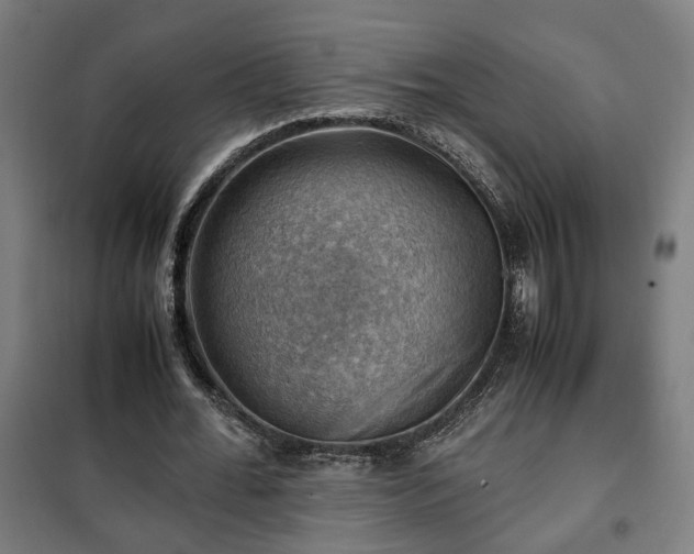 X0000102010676200807251309