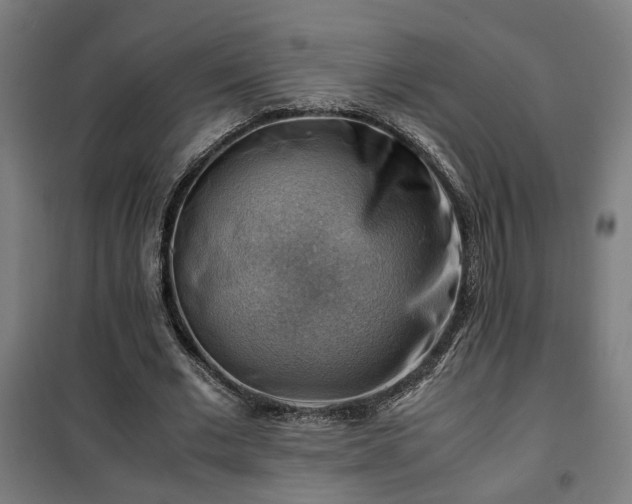X0000102010677200807251309