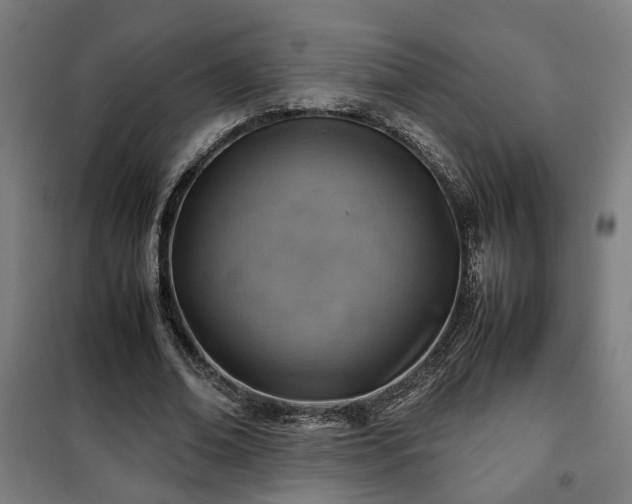 X0000102010678200807251309