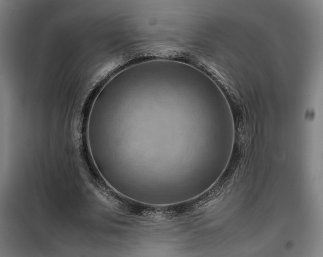 X0000102010679200807251309