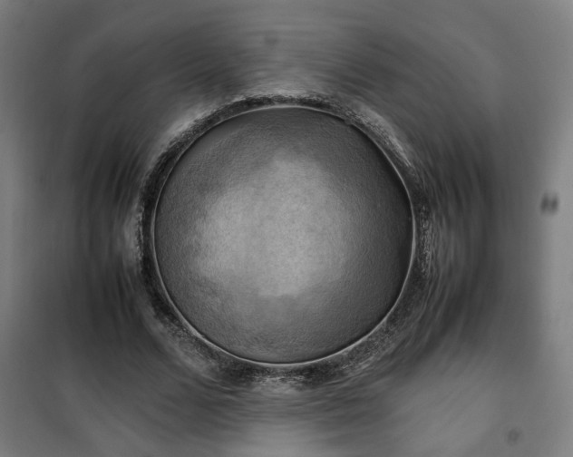 X0000102010680200807251309