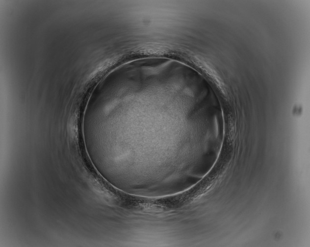 X0000102010681200807251309