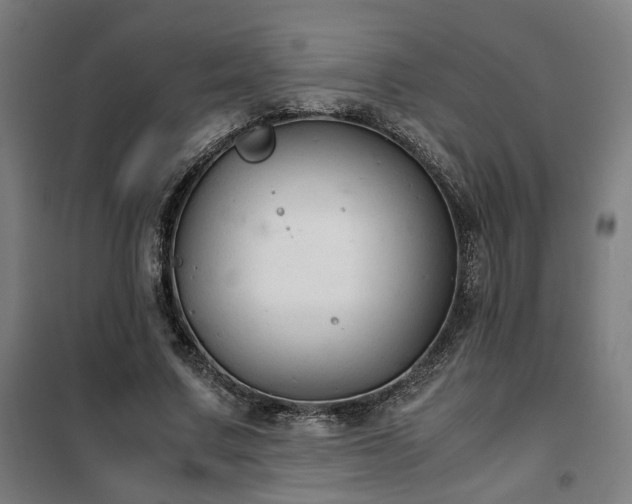 X0000102010683200807251309