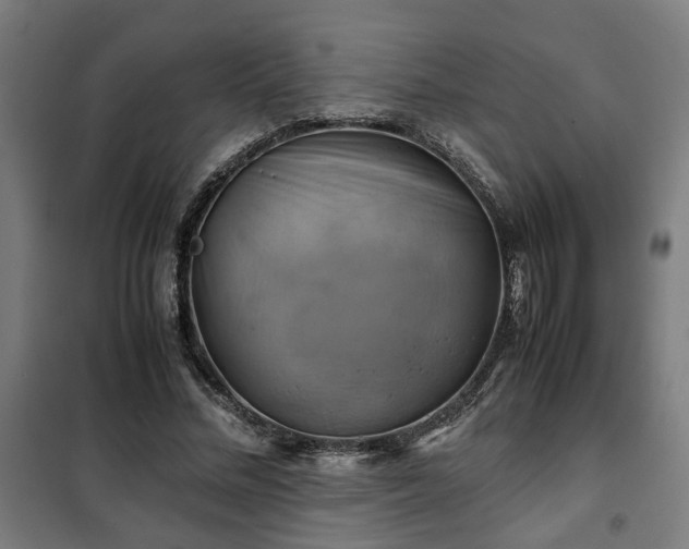 X0000102010684200807251309
