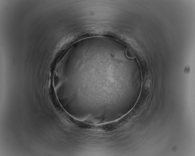 X0000102010685200807251309