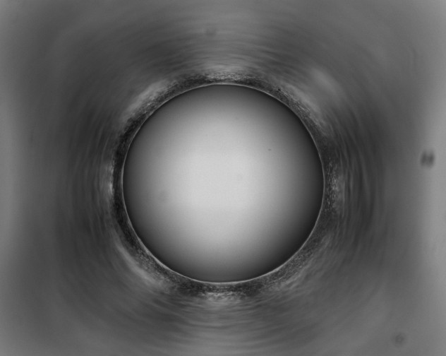 X0000102010686200807251309