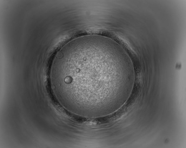 X0000102010687200807251309