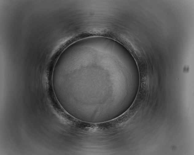 X0000102010688200807251309