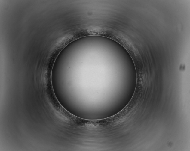 X0000102010690200807251309