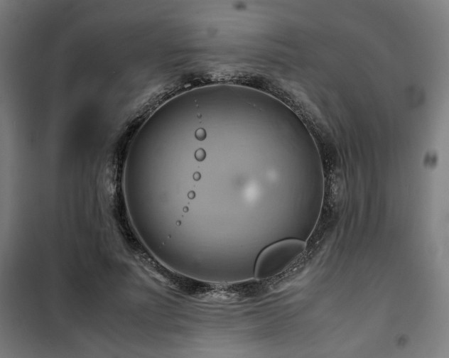 X0000102010691200807251309