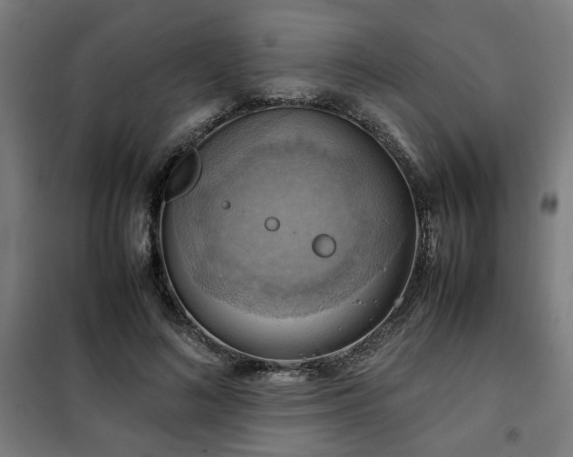 X0000102010692200807251309