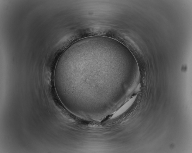 X0000102010693200807251309