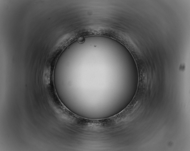 X0000102010694200807251309