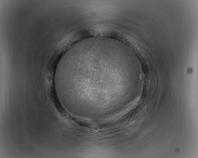 X0000102010695200807251309