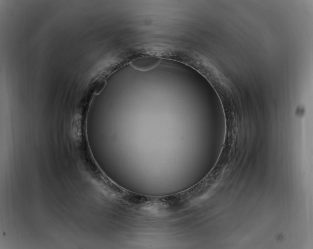 X0000102010696200807251309
