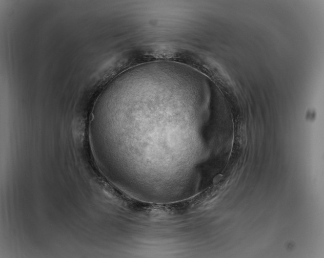 X0000102010697200807251309