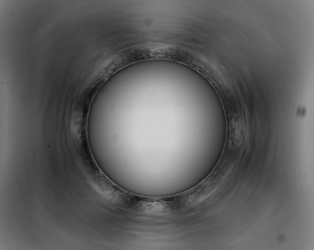X0000102010698200807251309