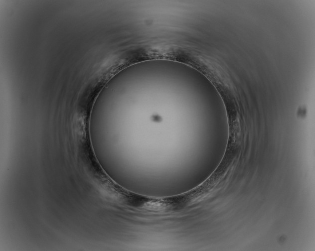 X0000102010699200807251309