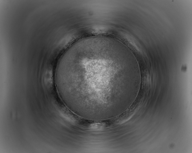 X0000102010700200807251309