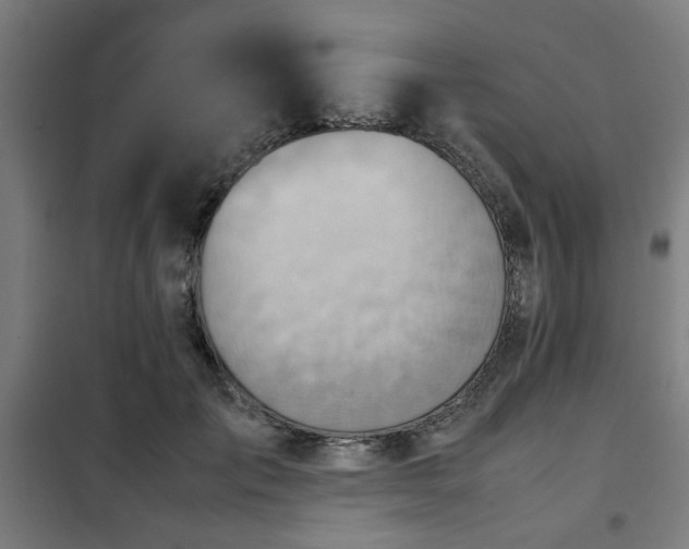 X0000102010701200807251309