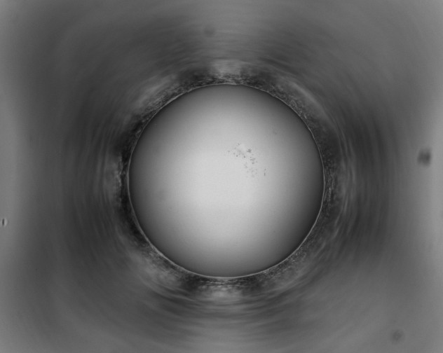 X0000102010702200807251309