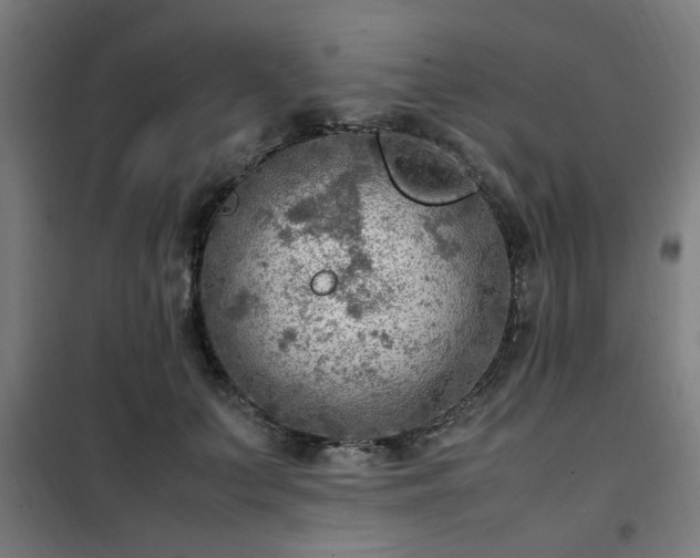 X0000102010703200807251309