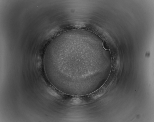 X0000102010704200807251309