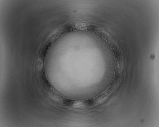 X0000102010705200807251309