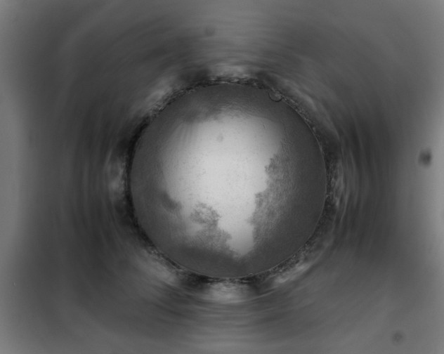 X0000102010708200807251309