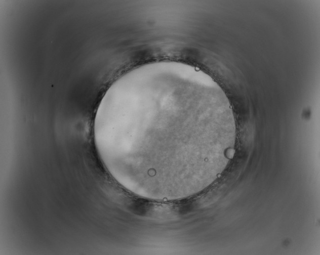 X0000102010709200807251309