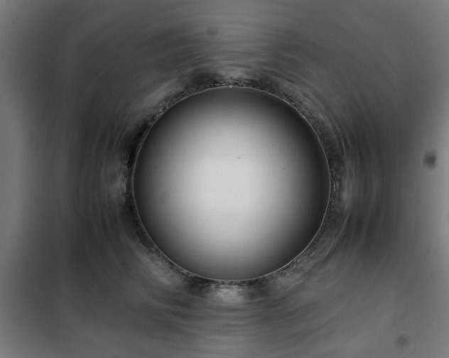 X0000102010710200807251309
