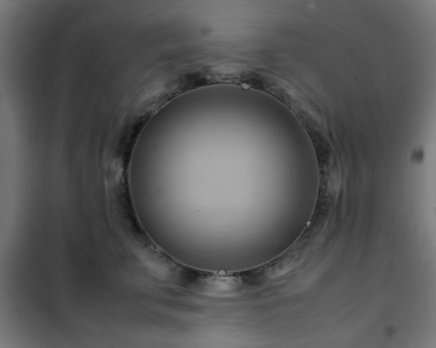 X0000102010711200807251309