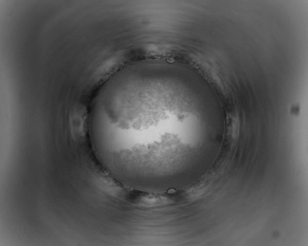 X0000102010712200807251309