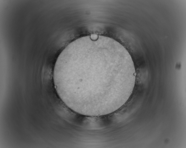 X0000102010713200807251309