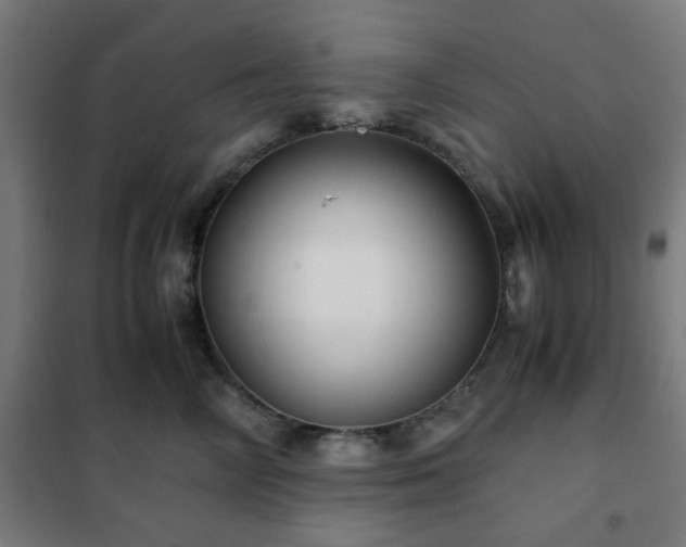 X0000102010714200807251309