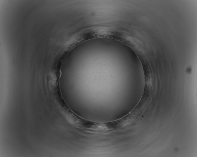 X0000102010715200807251309