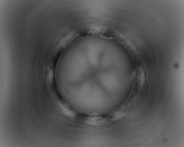 X0000102010716200807251309
