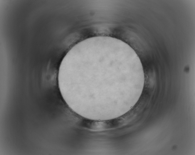 X0000102010717200807251309