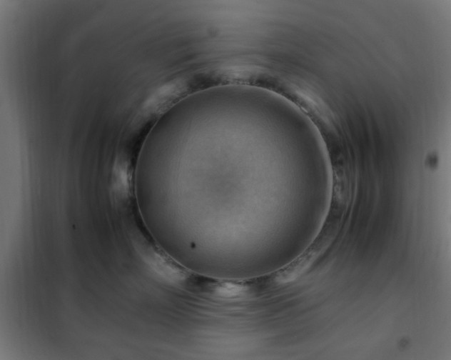 X0000102010718200807251309