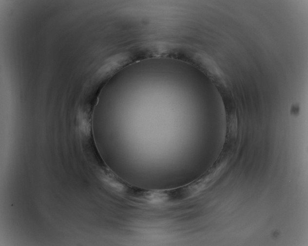 X0000102010719200807251309