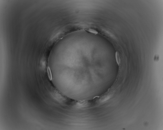 X0000102010720200807251309