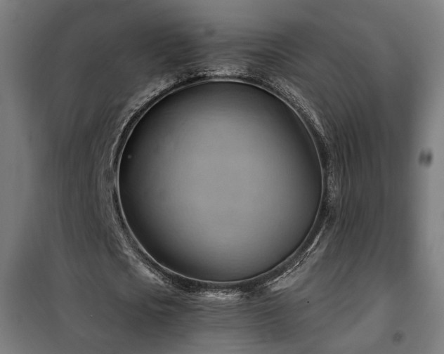 X0000102010721200807251308