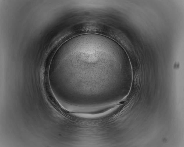X0000102010722200807251308