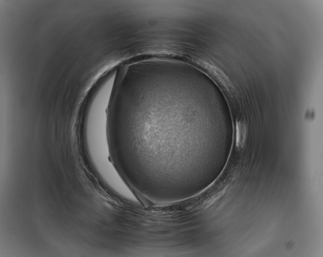 X0000102010723200807251308