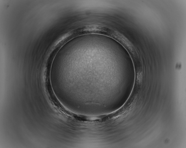 X0000102010724200807251308