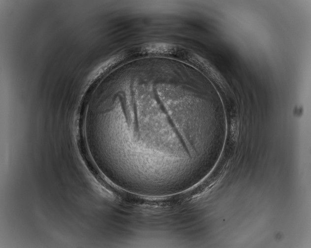 X0000102010725200807251308
