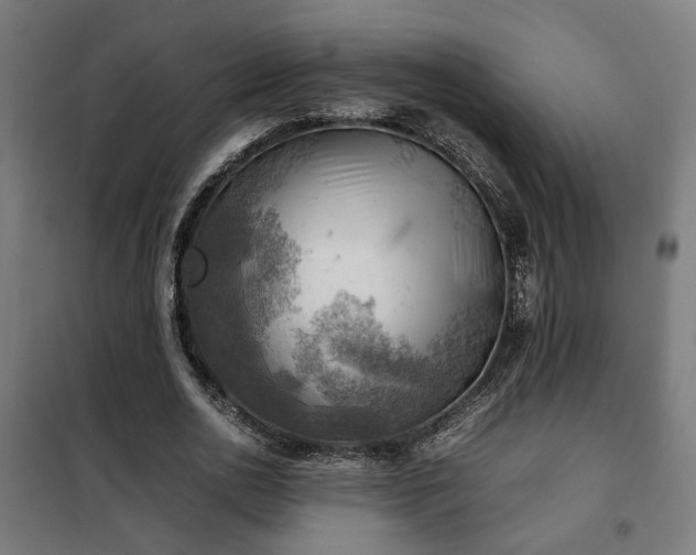 X0000102010726200807251308