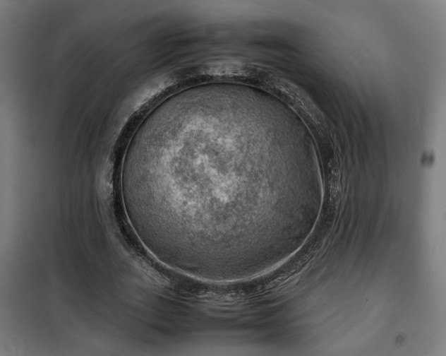 X0000102010727200807251308