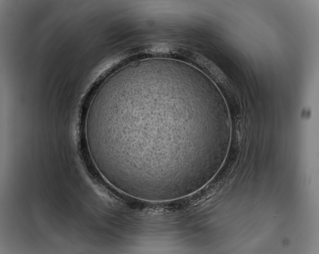 X0000102010728200807251308